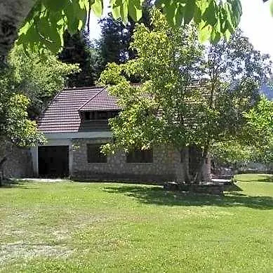 Mikro Katafygio