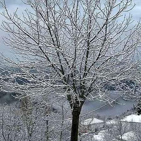 Mikro Katafygio *